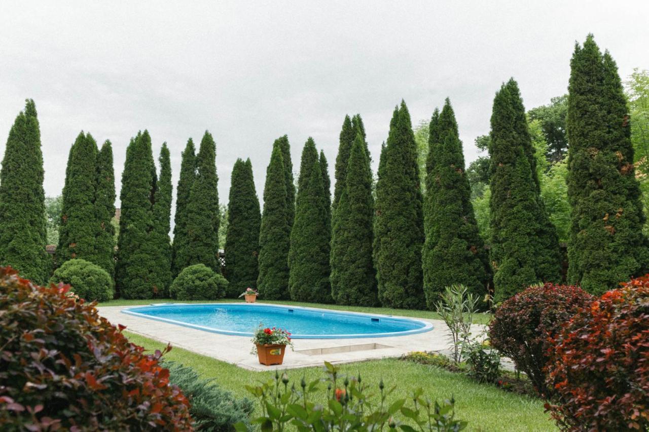 Apartment Cozy On The Picturesque Niraj Valley Pasareni